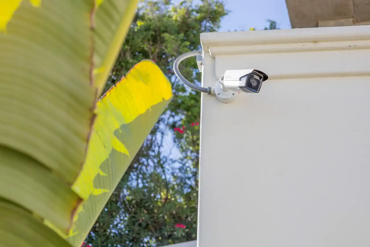 White bullet camera on a white wall with banana leaves in the foreground
