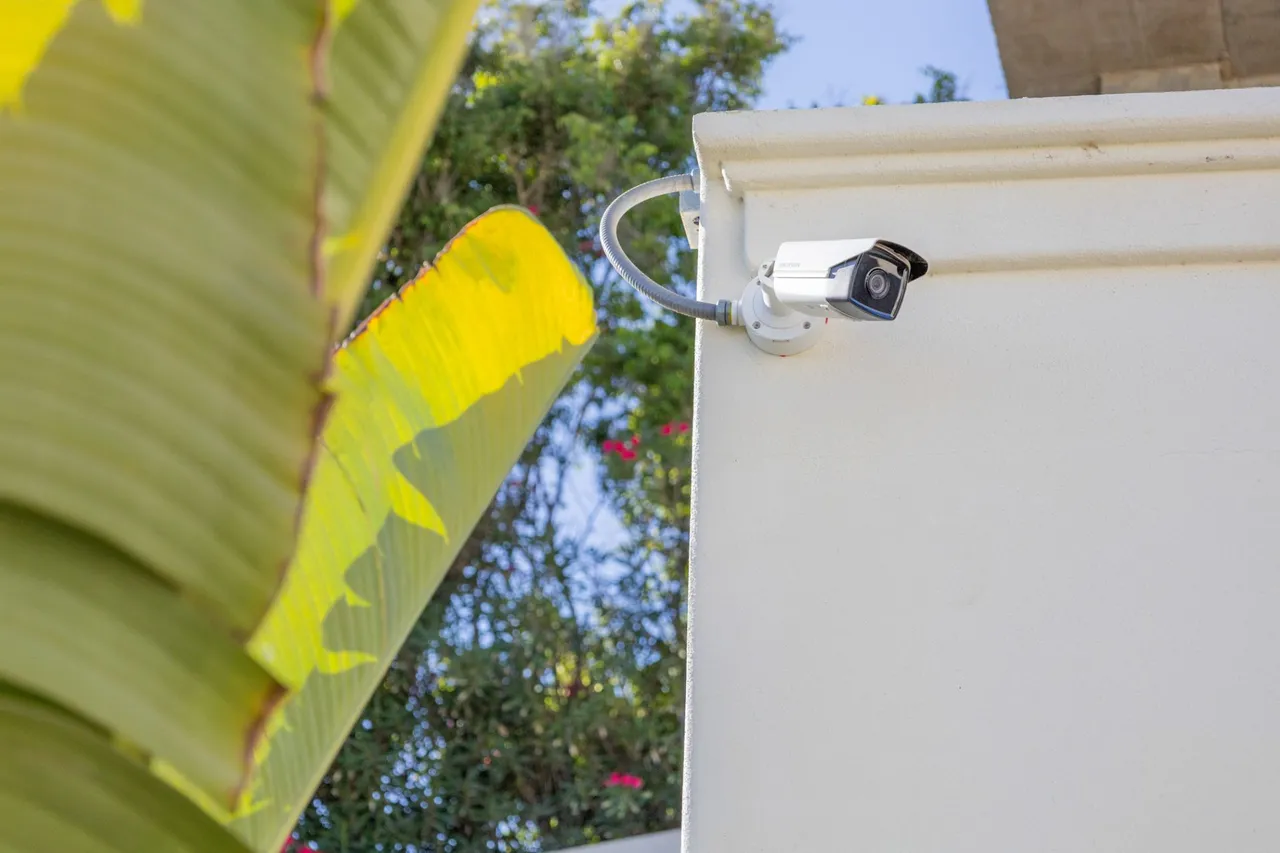 Bullet camera with flexible conduit on a white wall, with banana leaves in front