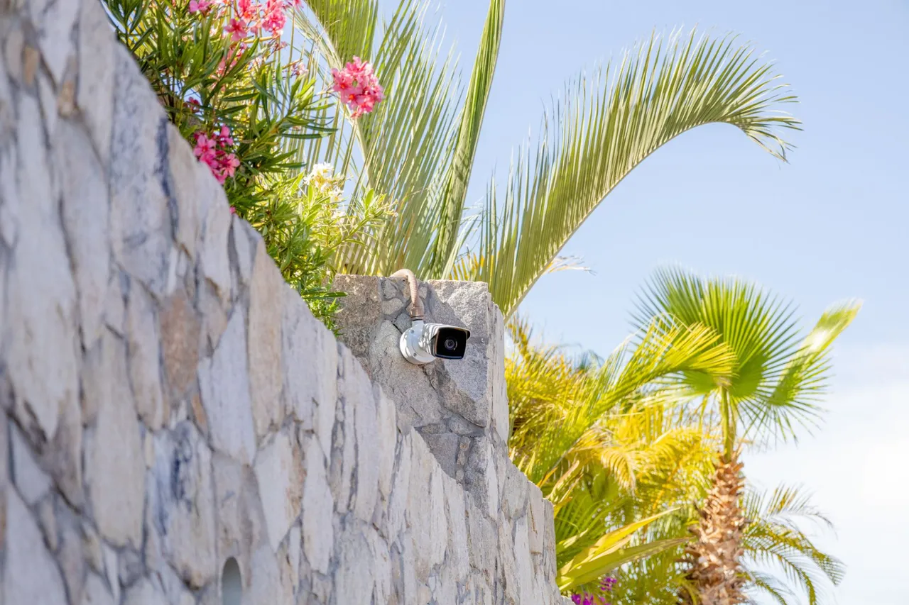Stone wall with flowers and palms, and a small camera on top
