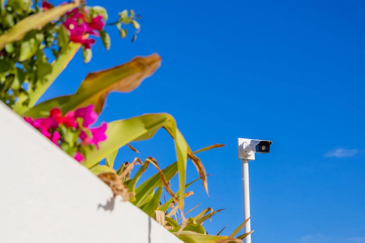 Camera on a white pole against a blue sky, with bougainvillea in the foreground